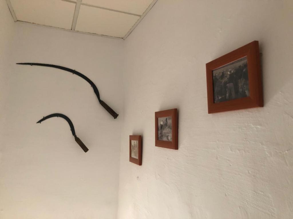 Masia Tarranc Els Muntells Екстериор снимка